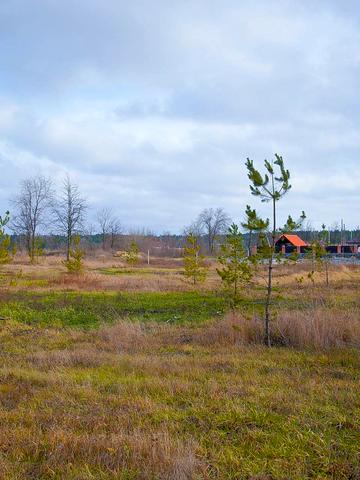 КГ Лесная Пристань
