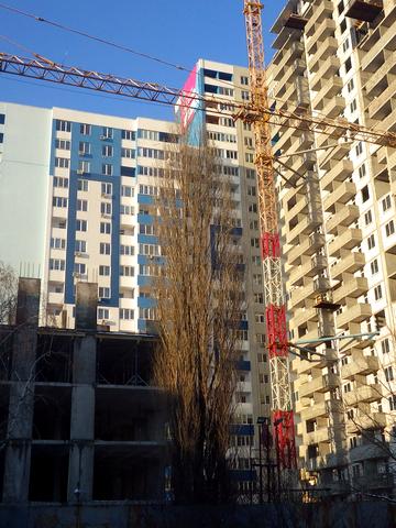 Статус строительства ЖК Южный квартал Дом 1