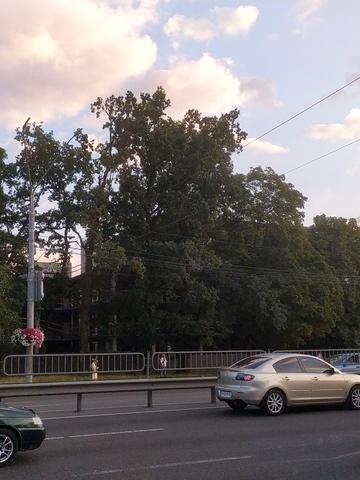Статус будівництва просп. Берестейський, 115а Будинок