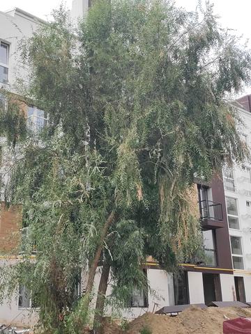 Статус будівництва ЖК Білий Шоколад.Center вул. Величка, 21