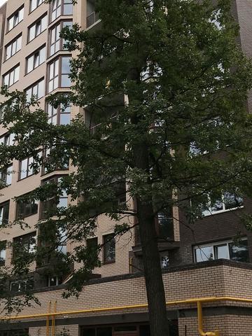 Статус строительства ЖК Мюнхаузен 2 Дом 1 (Секция 1, Секция 2)