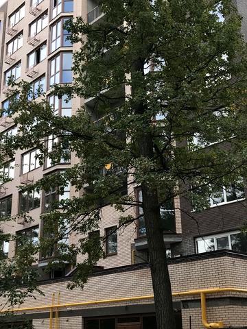 Статус строительства ЖК Мюнхаузен 2 Дом 1 (Секция 1, Секция 2)