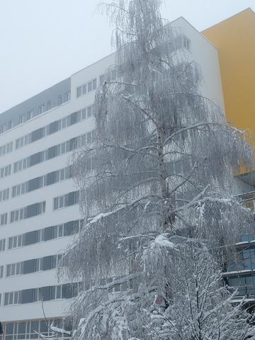Статус будівництва ЖК Америка Будинок В2