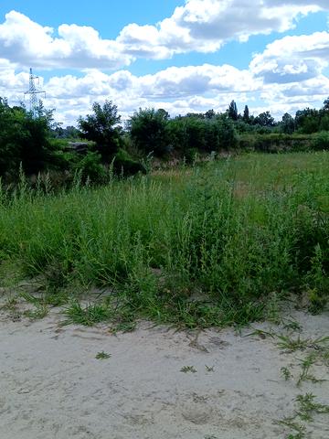 Статус строительства ЖК Svitlo Park Дом 11