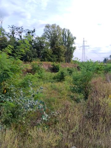 Статус строительства ЖК Svitlo Park Дом 12