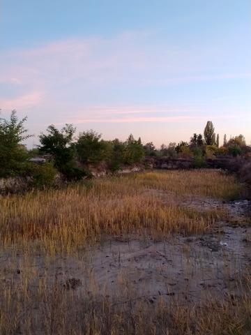 Статус строительства ЖК Svitlo Park Дом 11