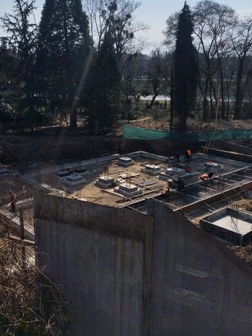 Статус будівництва Клубний будинок Botanic Club House Будинок
