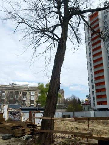 Статус будівництва Прибутковий будинок S1 Нивки Будинок