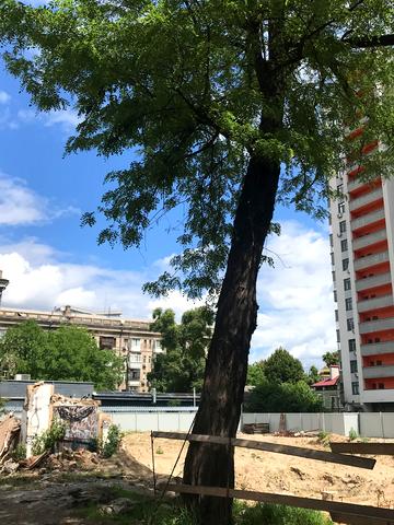 Статус будівництва Прибутковий будинок S1 Нивки Будинок