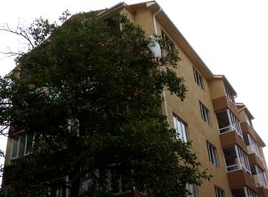 Статус строительства ЖК Авалон Дом 1