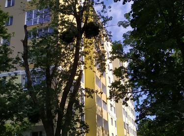 Статус будівництва ЖК Семінарський Будинок 1а-1б