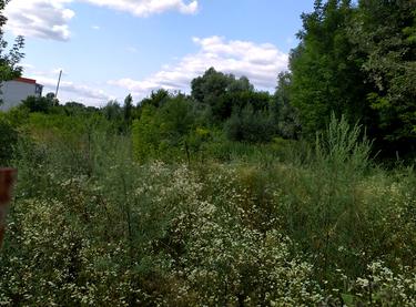 Статус строительства ЖК Водограй Дом 3