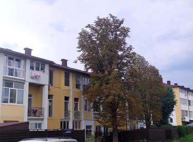 Статус будівництва ЖК Мрія Будинок 2