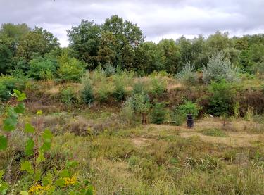 Статус будівництва ЖК London Будинок