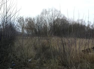 Статус строительства ЖК Водограй Дом 3