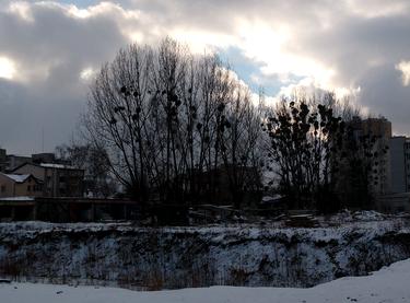 Статус строительства ЖК Львівська Мрія (Княгині Ольги) Дом 2