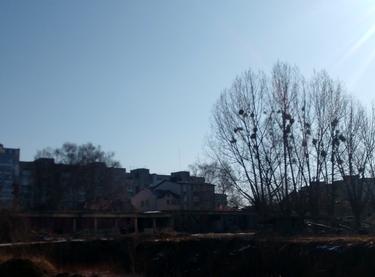 Статус строительства ЖК Львівська Мрія (Княгині Ольги) Дом 2