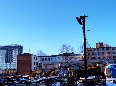 Статус будівництва ЖК Німецький проект на Холодній Горі Будинок 5