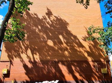 Статус будівництва ЖК Дубовий Гай Будинок