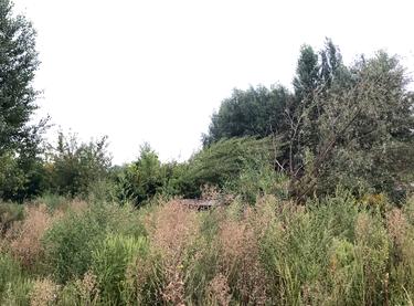 Статус будівництва ЖК Сімейне містечко Будинок 4