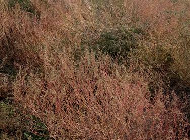 Статус строительства ЖК Мармелад Дом (Секция 1)