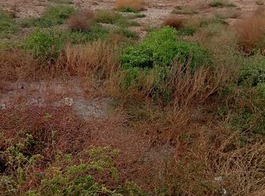 Статус будівництва ЖК Калейдоскоп 2 Будинок (Секція 1, Секція 2, Секція 3)