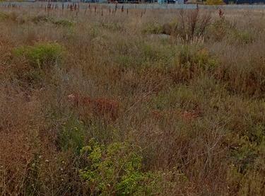 Статус строительства ЖК Акварель-9 Дом 1 (Секция 1)