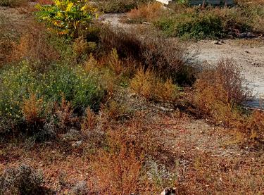 Статус будівництва ЖК M.Park Будинок 1