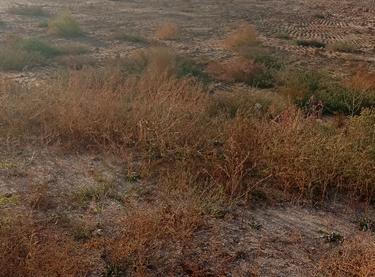 Статус будівництва ЖК Калейдоскоп 2 Будинок (Секція 1, Секція 2, Секція 3)