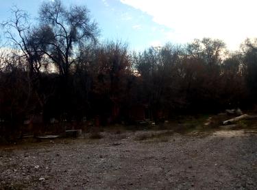 Статус будівництва ЖК Піхтовий Будинок (Секція 1)