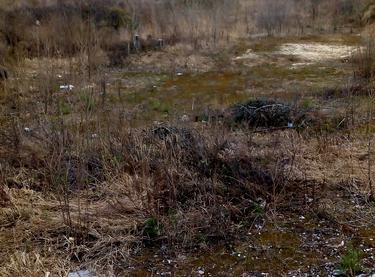 Статус будівництва ЖК Чайка вул. Лобановського, 5