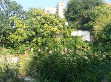 Статус будівництва ЖК Континент Будинок 1