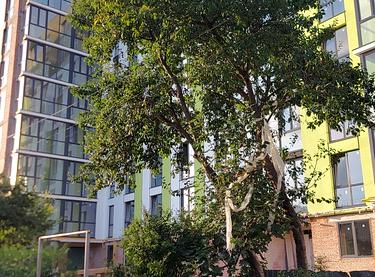 Статус будівництва ЖК Green Estate Будинок