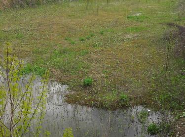 Статус будівництва ЖК Svitlo Park Будинок 12