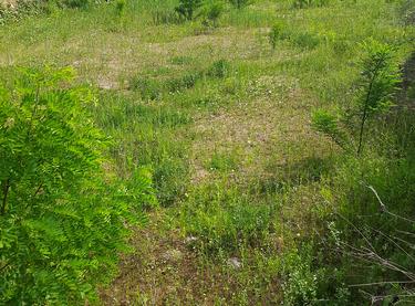 Статус будівництва ЖК Svitlo Park Будинок 12