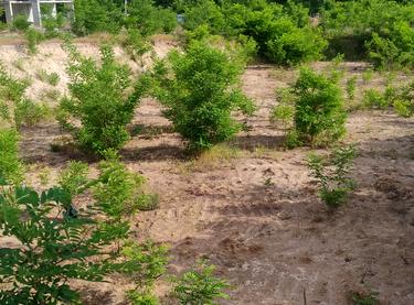 Статус будівництва ЖМ Нова Буча Будинок 8.7