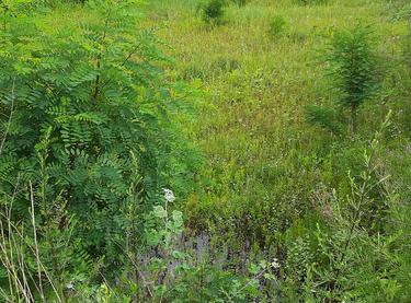 Статус будівництва ЖК Svitlo Park Будинок 12