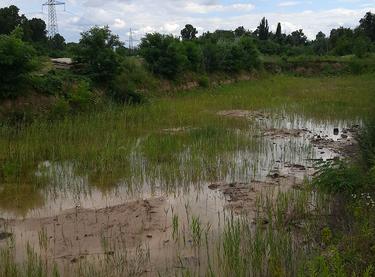 Статус будівництва ЖК Svitlo Park Будинок 11