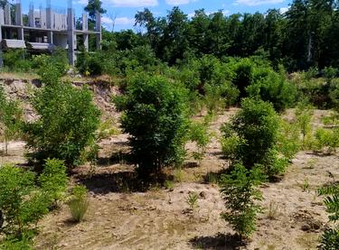 Статус будівництва ЖМ Нова Буча Будинок 8.7