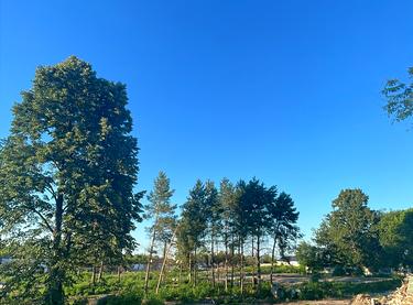 Статус будівництва вул. Коломичівська (Тургенєва), 73 Будинок