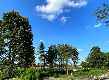 Статус будівництва вул. Коломичівська (Тургенєва), 73 Будинок