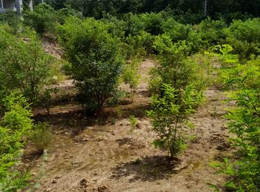 Статус будівництва ЖМ Нова Буча Будинок 8.7