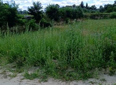 Статус будівництва ЖК Svitlo Park Будинок 11