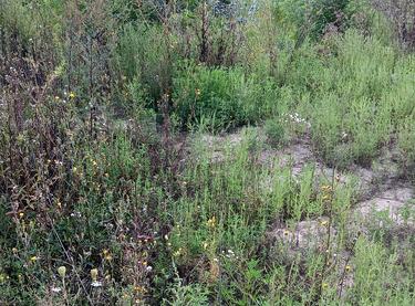 Статус будівництва ЖК Svitlo Park Будинок 12