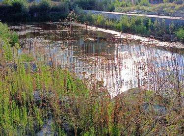 Статус будівництва ЖК RIVERDALE Будинок 1 (Секція 1, Секція 6)