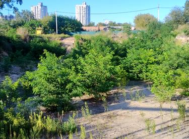 Статус будівництва ЖК Vyshgorod Sky Будинок 2