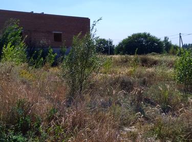 Статус будівництва ЖК Милі квартири Будинок 9