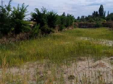 Статус будівництва ЖК Svitlo Park Будинок 11