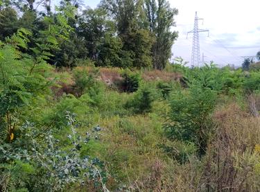 Статус будівництва ЖК Svitlo Park Будинок 12