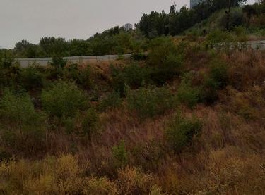 Статус будівництва ЖК Central Hills Будинок 4